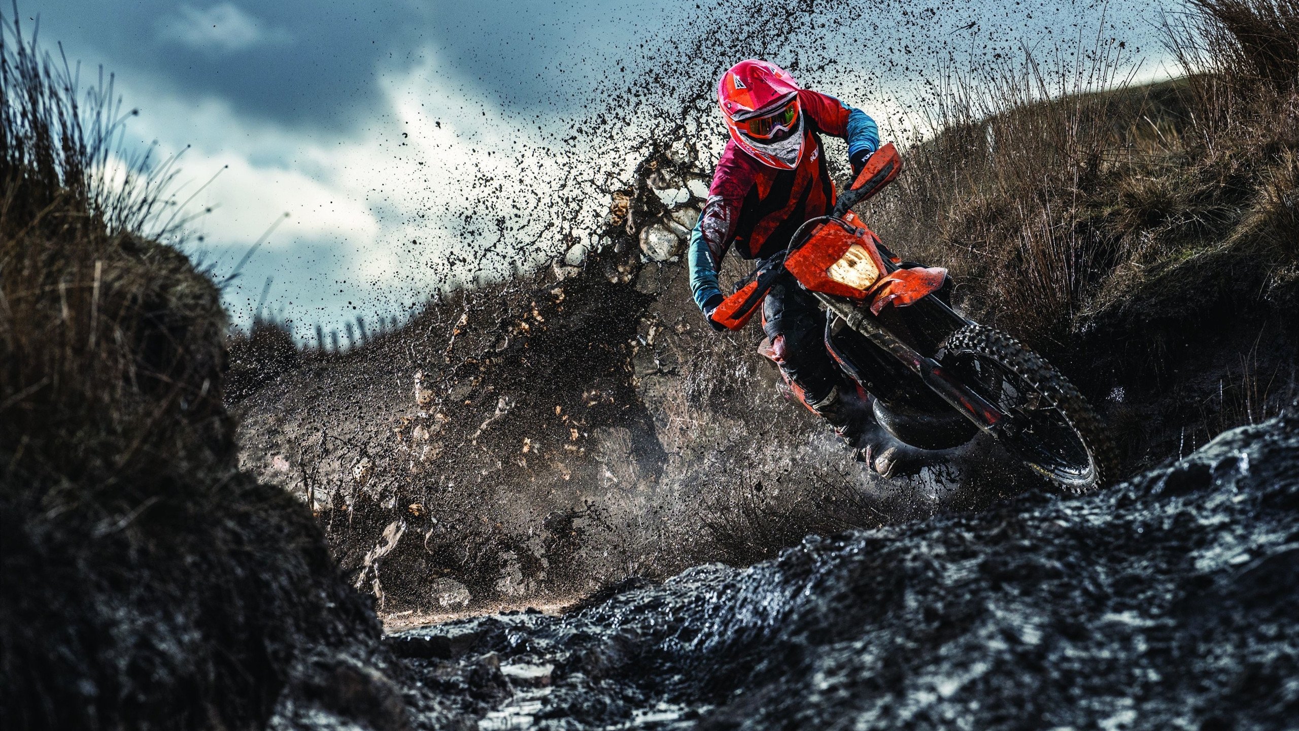 世界杯冠军中卫加盟欧冠豪门 首秀即斩获全场最高评分